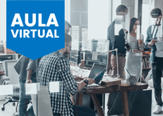 DIRECCIÓN DE PROYECTOS + PREPARACIÓN EXAMEN PMP® (opcional)