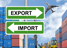 30ª Ed. GESTIÓN ADUANERA en las Importaciones y Exportaciones