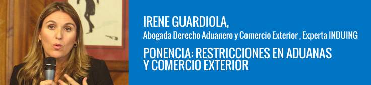 ponencia-induing-irene-guardiola