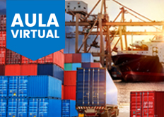 LOGÍSTICA CON ÁREAS ADUANERAS EXENTAS