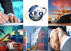 OPERADOR ECONÓMICO AUTORIZADO (OEA) 2ª Edi.